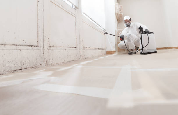 24/7 Emergency Mold Remediation experts in Allyn, WA