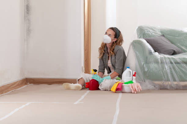 Reliable Mold Remediation contractor in Allyn, WA by 24 Hour Mold Removal
